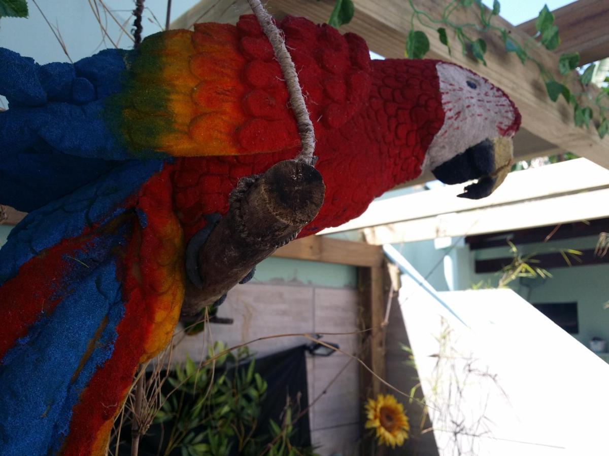 Beira Mar Hostel Florianópolis Zewnętrze zdjęcie