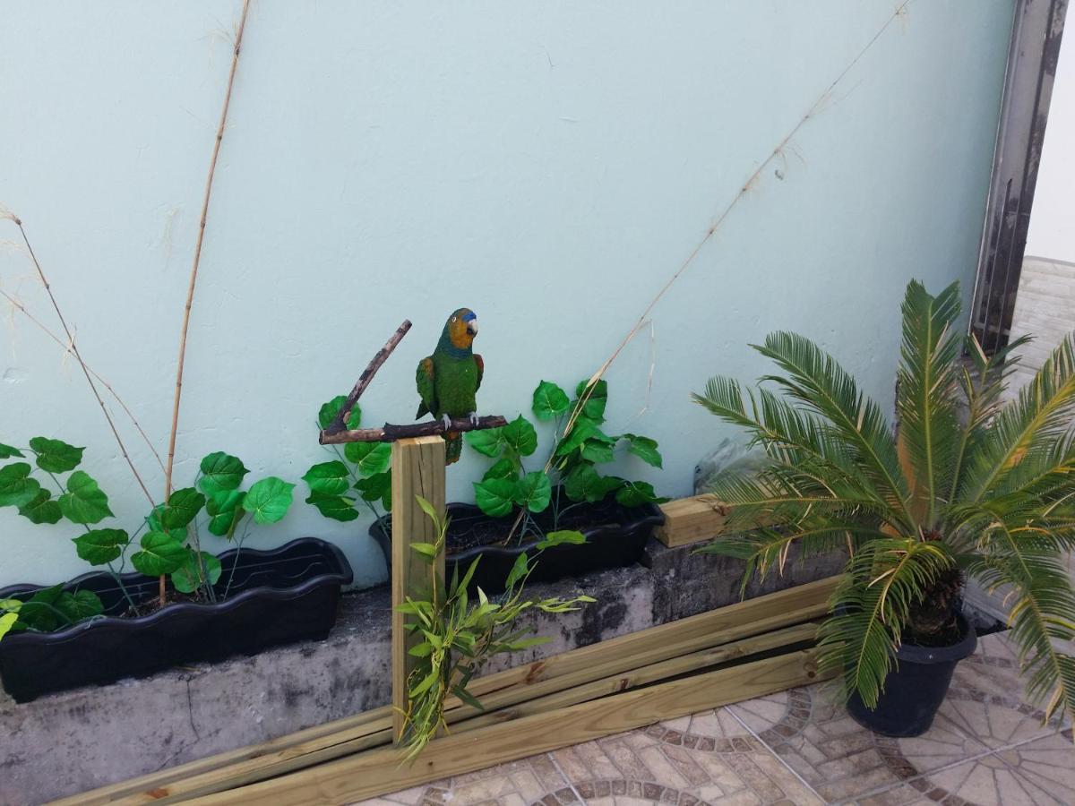 Beira Mar Hostel Florianópolis Zewnętrze zdjęcie